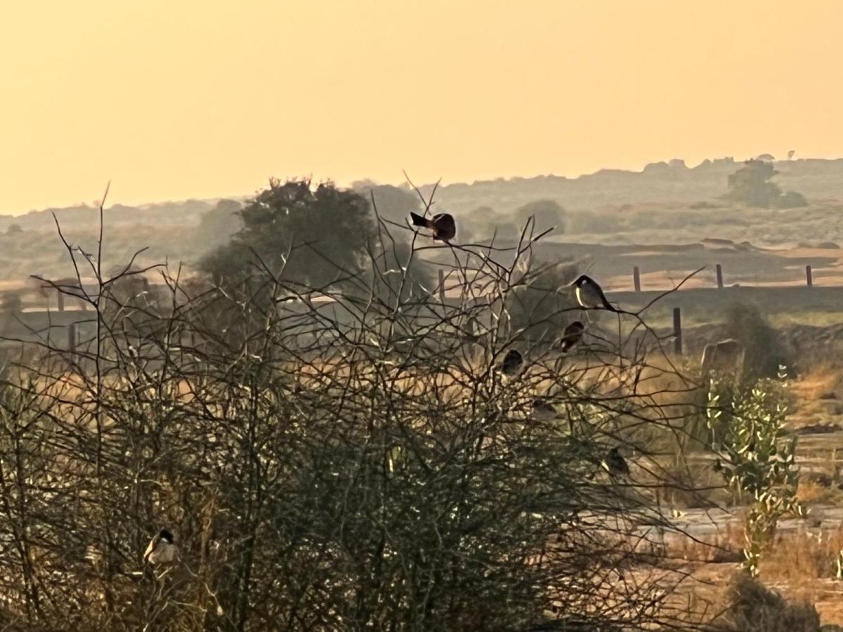 Golden Villa Jaisalmer Zewnętrze zdjęcie